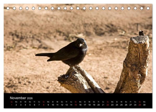 Produktbild: Namibia - Sch&ouml;ne Ansichten (Tischkalender 2026 DIN A5 quer), CALVENDO Monatskalender
