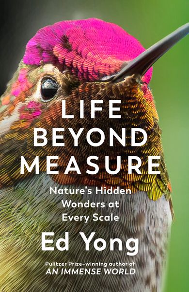 Produktbild: Life Beyond Measure
