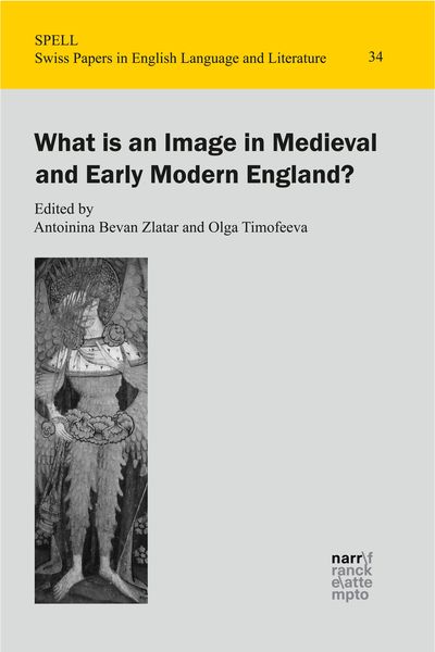 Produktbild: What is an Image in Medieval and Early Modern England?