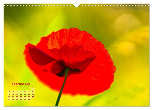 Produktbild: ZAUBERHAFTE MOHNBL&Uuml;TEN IN SCHARLACHROT UND PINK (Wandkalender 2026 DIN A3 quer), CALVENDO Monatskalender