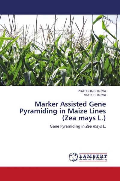 Produktbild: Marker Assisted Gene Pyramiding in Maize Lines (Zea mays L.)
