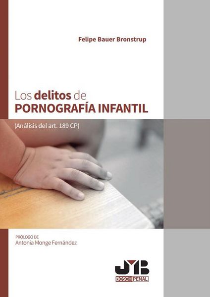 Produktbild: Los delitos de pornograf&iacute;a infantil