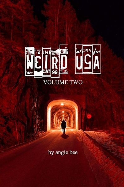 Produktbild: Weird, USA Vol. 2