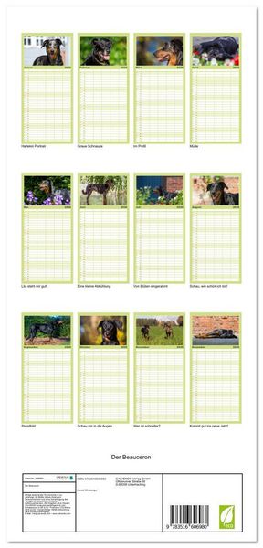 Produktbild: Familienplaner 2026 - Der Beauceron mit 5 Spalten (Wandkalender, 21 x 45 cm) CALVENDO