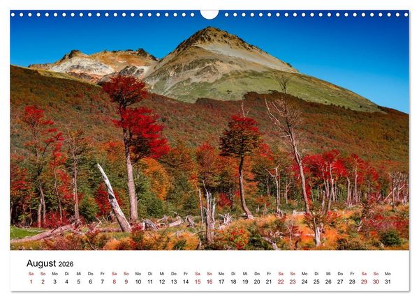 Produktbild: W&auml;lder: die letzte Zuflucht f&uuml;r die Wildnis (Wandkalender 2026 DIN A3 quer), CALVENDO Monatskalender