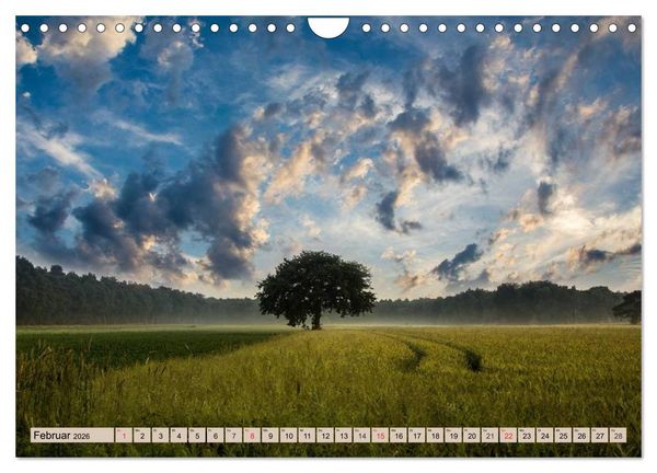 Produktbild: Horizonte zum Tr&auml;umen (Wandkalender 2026 DIN A4 quer), CALVENDO Monatskalender