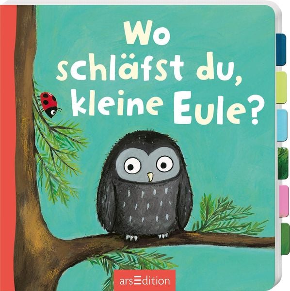 Wo schläfst du, kleine Eule?, Gebundene Ausgabe von , arsedition, 9783845857664