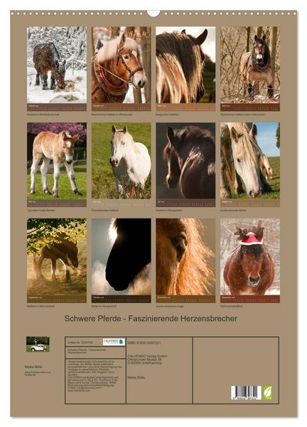 Produktbild: Schwere Pferde - Faszinierende Herzensbrecher (Wandkalender 2026 DIN A2 hoch), CALVENDO Monatskalender