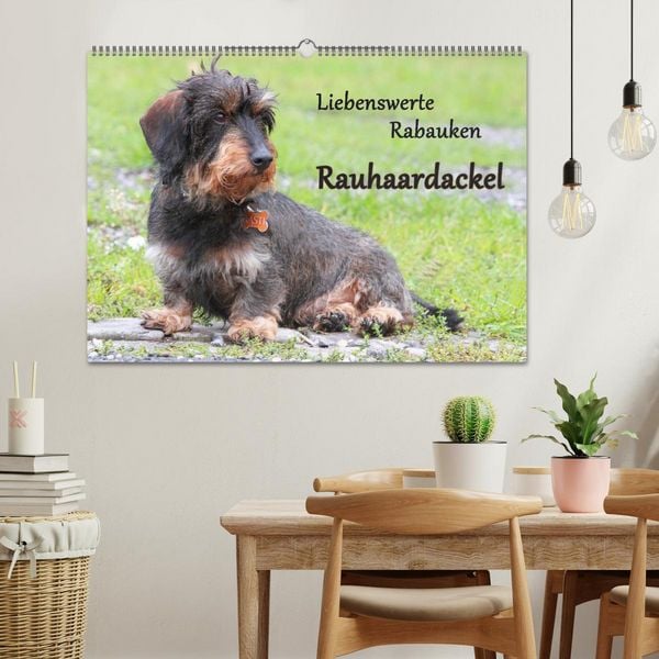 Produktbild: Liebenswerte Rabauken Rauhaardackel / CH-Version (Wandkalender 2026 DIN A2 quer), CALVENDO Monatskalender