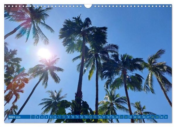 Produktbild: Phi Phi Island &ndash; Thailands traumhaftes Paradies (Wandkalender 2026 DIN A3 quer), CALVENDO Monatskalender