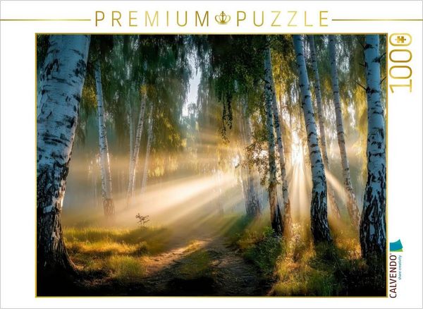 CALVENDO Puzzle Sonnenstrahlen durchdringen den Birkenwald - der Tag beginnt mit goldenem Flüstern | 1000 Teile Lege-Größe 64x48cm Foto-Puzzle für glü
