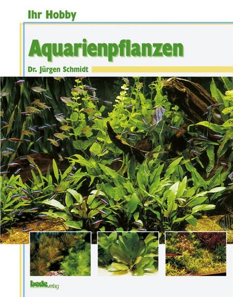 Produktbild: Aquarienpflanzen