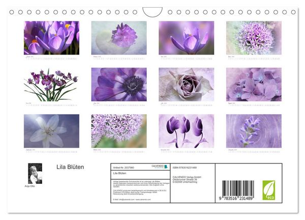 Produktbild: Lila Bl&uuml;ten (Wandkalender 2026 DIN A4 quer), CALVENDO Monatskalender