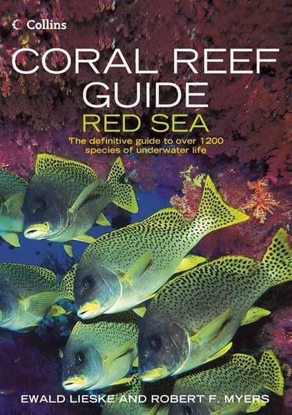 Produktbild: Coral Reef Guide Red Sea