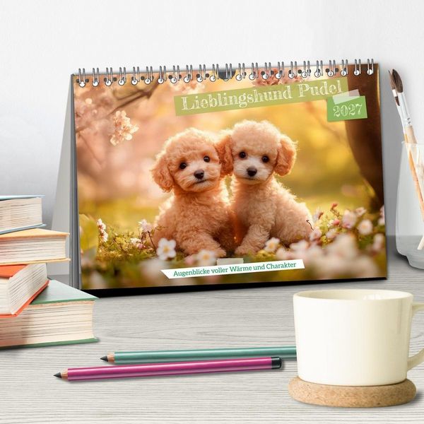 Produktbild: Lieblingshund Pudel (Tischkalender 2027 DIN A5 quer), CALVENDO Monatskalender