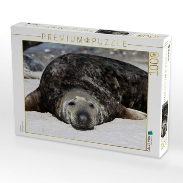 Produktbild: CALVENDO Puzzle Kegelrobbe | 1000 Teile Lege-Gr&ouml;&szlig;e 64x48cm Foto-Puzzle f&uuml;r gl&uuml;ckliche Stunden