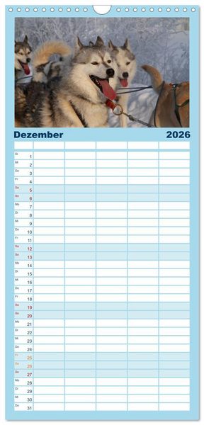 Produktbild: Familienplaner 2026 - Huskies! mit 5 Spalten (Wandkalender, 21 x 45 cm) CALVENDO
