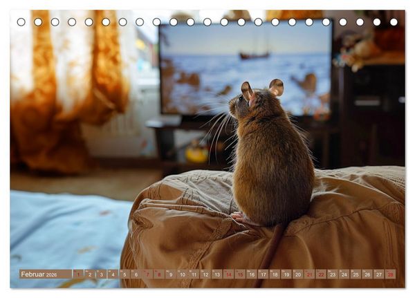 Produktbild: Mein bester Kumpel ist eine Ratte (Tischkalender 2026 DIN A5 quer), CALVENDO Monatskalender
