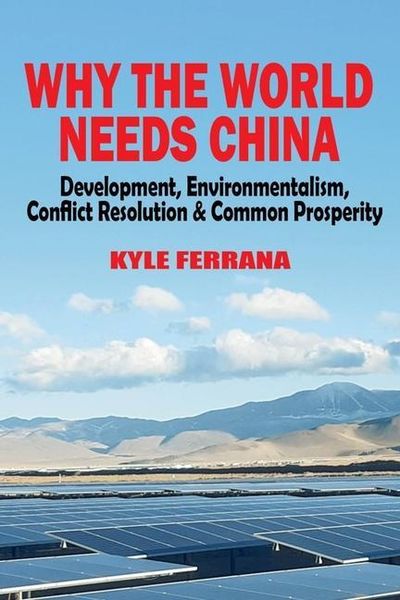 Produktbild: Why the World Needs China