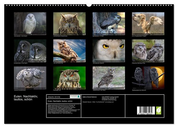 Produktbild: Eulen. Nachtaktiv, lautlos, sch&ouml;n (hochwertiger Premium Wandkalender 2026 DIN A2 quer), Kunstdruck in Hochglanz