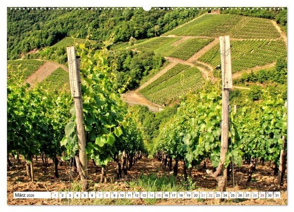 Produktbild: Sehenswertes Ahrtal - Von Altenahr bis Bad Neuenahr (Wandkalender 2026 DIN A2 quer), CALVENDO Monatskalender