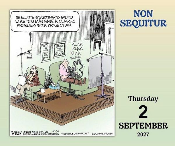 Produktbild: Non Sequitur 2027