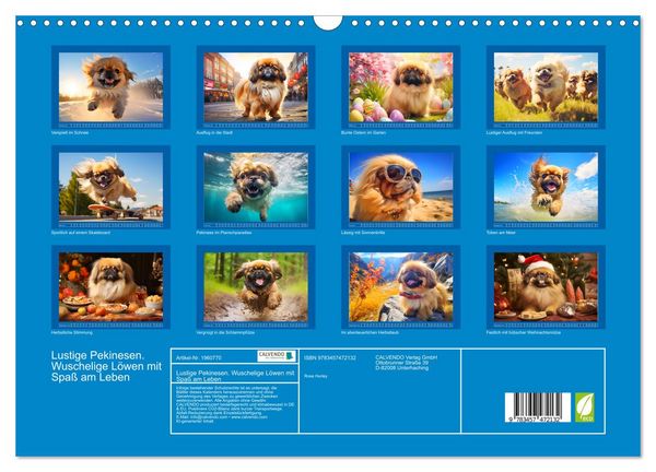 Produktbild: Lustige Pekinesen. Wuschelige L&ouml;wen mit Spa&szlig; am Leben (Wandkalender 2026 DIN A3 quer), CALVENDO Monatskalender