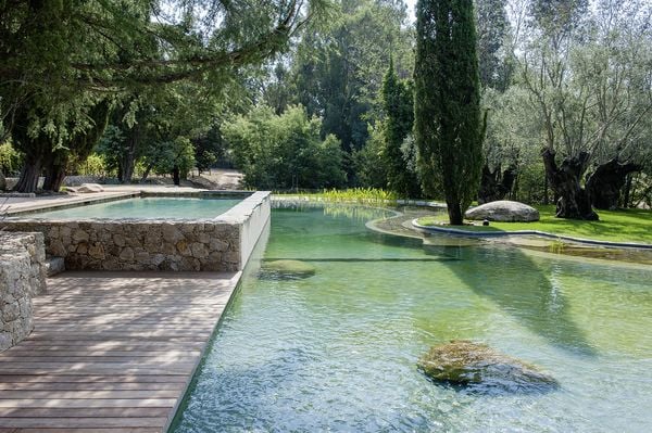 Produktbild: Wasser im Garten 2