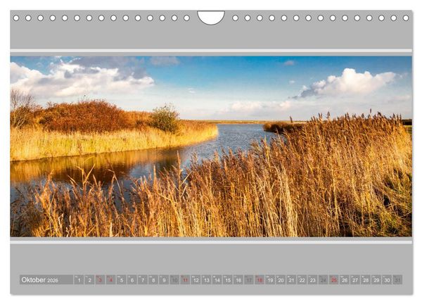 Produktbild: Ostfriesland - Deichspaziergang (Wandkalender 2026 DIN A4 quer), CALVENDO Monatskalender