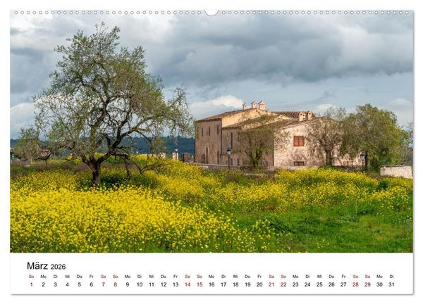 Produktbild: B&auml;ume - Wunder der Natur (hochwertiger Premium Wandkalender 2026 DIN A2 quer), Kunstdruck in Hochglanz