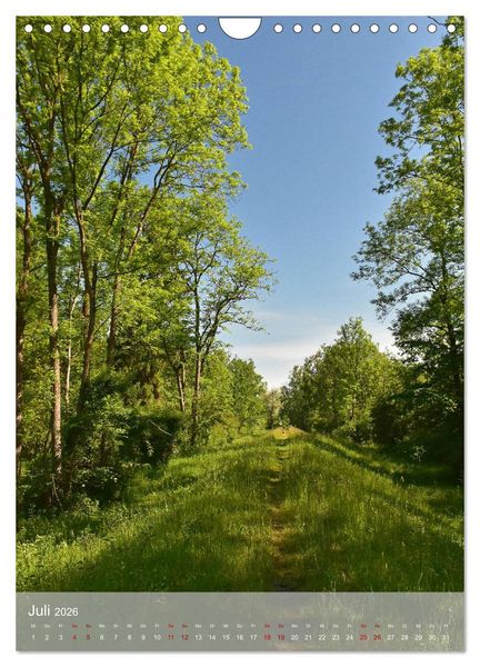 Produktbild: Moosburger Momente (Wandkalender 2026 DIN A4 hoch), CALVENDO Monatskalender