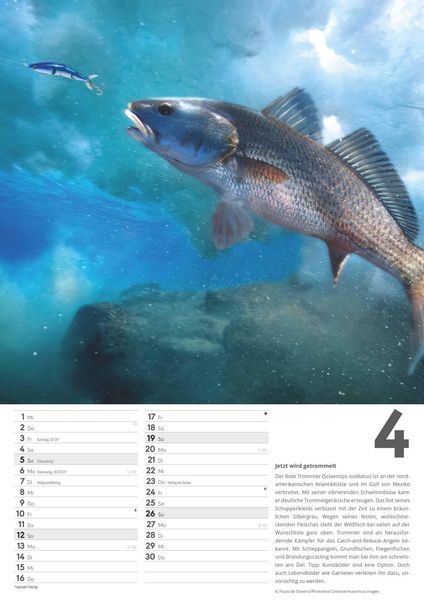 Produktbild: Der große Angelkalender 2026 - Bildkalender A3 (29,7x42 cm) - mit vielen Zusatzinformationen aus der Anglerwelt und Platz für Notizen - Wandkalender