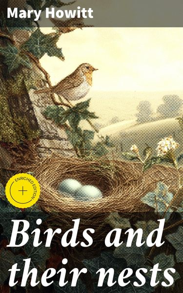Produktbild: Birds and their nests