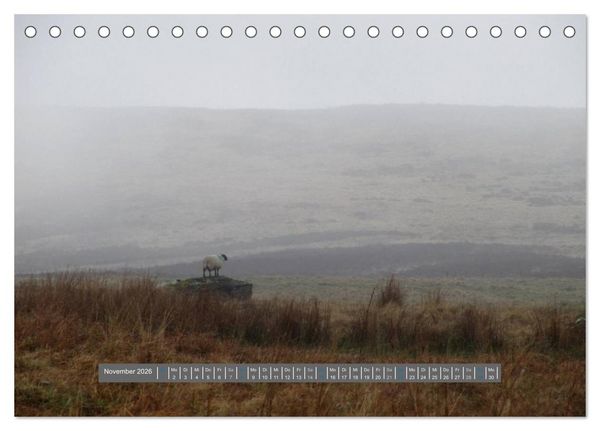 Produktbild: Schottlands Highland Schafe (Tischkalender 2026 DIN A5 quer), CALVENDO Monatskalender