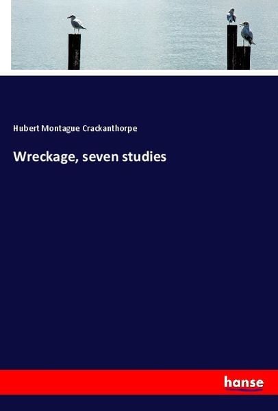 Produktbild: Wreckage, seven studies