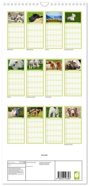 Produktbild: Familienplaner 2026 - Schafe mit 5 Spalten (Wandkalender, 21 x 45 cm) CALVENDO