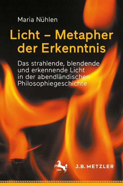 Produktbild: Licht &ndash; Metapher der Erkenntnis