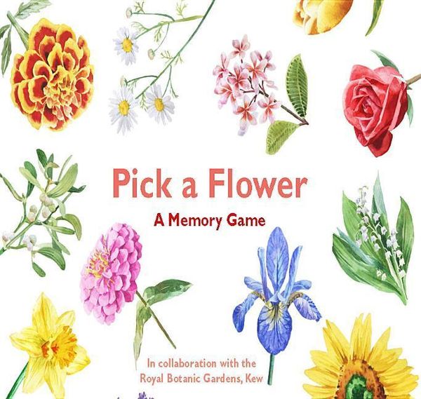 Produktbild: Pick a Flower