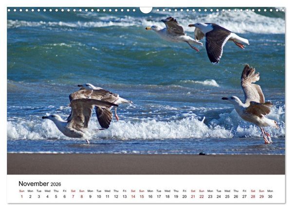 Produktbild: The Sea - A place for dreams (Wall Calendar 2026 DIN A3 landscape), CALVENDO 12 Month Wall Calendar