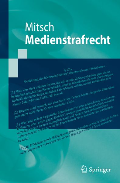 Medienstrafrecht, Taschenbuch von Wolfgang Mitsch, Springer Berlin, 9783642172625