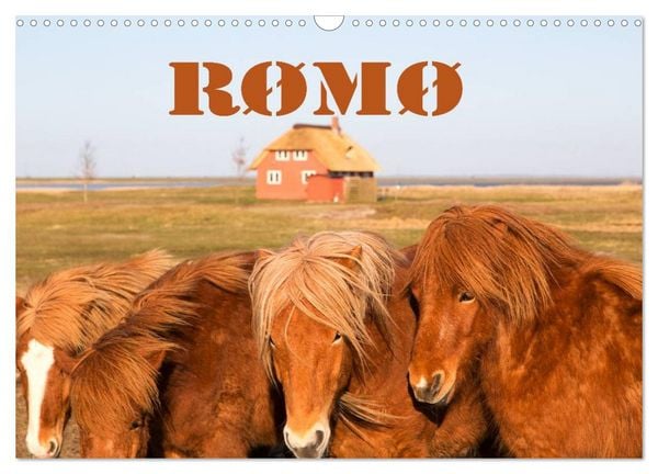 Produktbild: R&oslash;m&oslash; (Wandkalender 2026 DIN A3 quer), CALVENDO Monatskalender