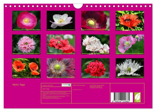 Produktbild: Mohn Tage (Wandkalender 2026 DIN A4 quer), CALVENDO Monatskalender
