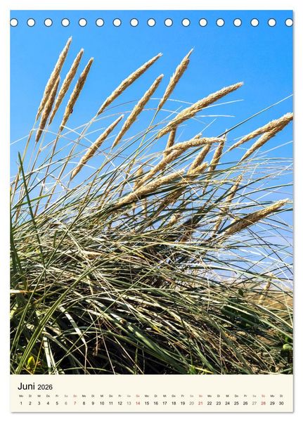 Produktbild: LANGEOOG Strandspaziergang (Tischkalender 2026 DIN A5 hoch), CALVENDO Monatskalender