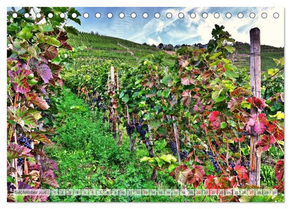 Produktbild: Bildsch&ouml;n - Die Mosel (Tischkalender 2026 DIN A5 quer), CALVENDO Monatskalender