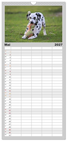 Produktbild: Familienplaner 2027 - Gefleckte Freunde - Hunderasse Dalmatiner mit 5 Spalten (Wandkalender, 21 x 45 cm) CALVENDO