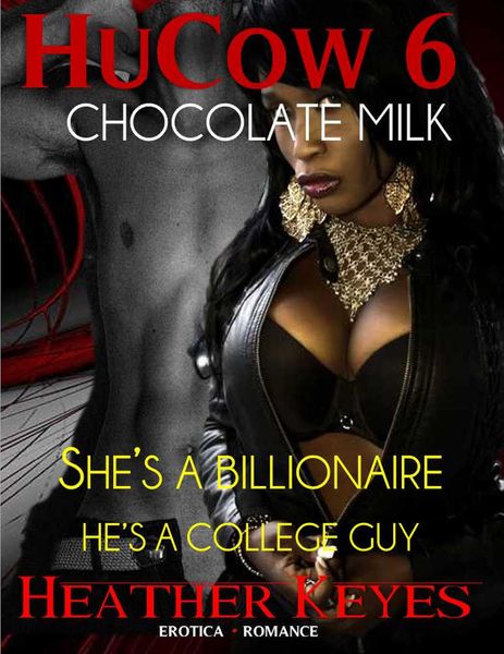 Produktbild: HuCow Chocolate Milk