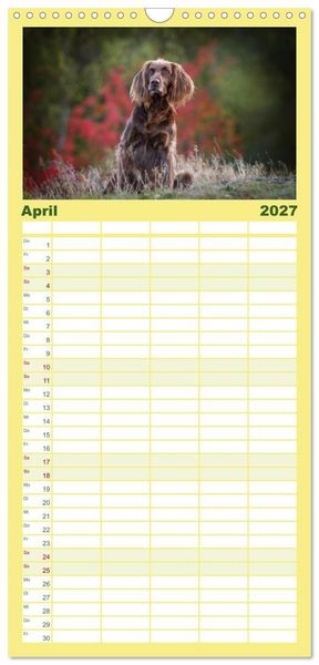 Produktbild: Familienplaner 2027 - Passion Jagdhund - Deutsch Langhaar mit 5 Spalten (Wandkalender, 21 x 45 cm) CALVENDO