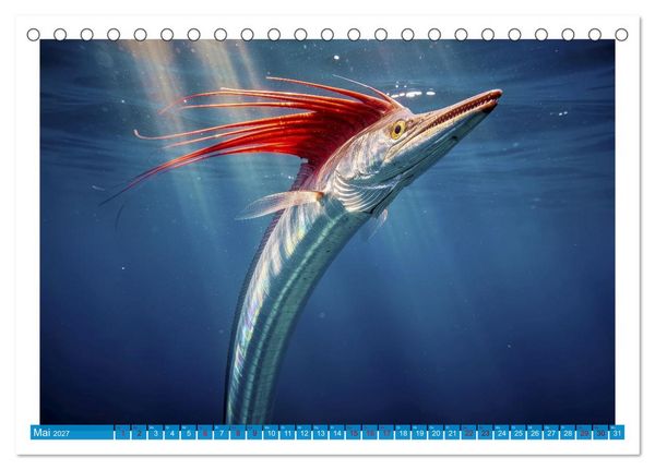 Produktbild: Knochen - und Mondfische (Tischkalender 2027 DIN A5 quer), CALVENDO Monatskalender