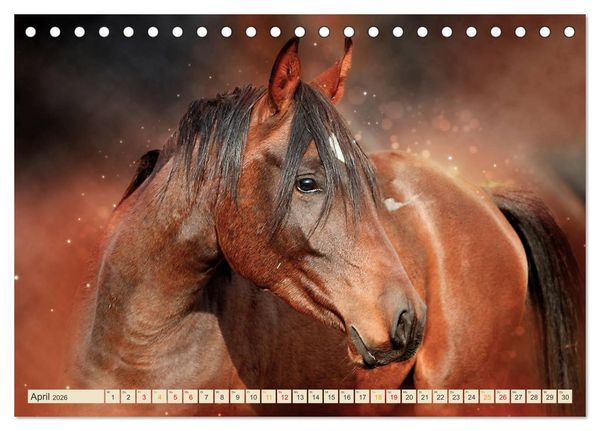 Produktbild: Eleganz und Sch&ouml;nheit - Pferde (Tischkalender 2026 DIN A5 quer), CALVENDO Monatskalender