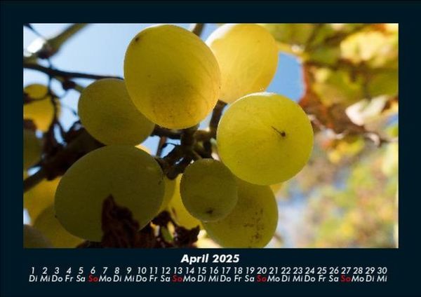 Produktbild: Obstkalender 2025 Fotokalender DIN A5